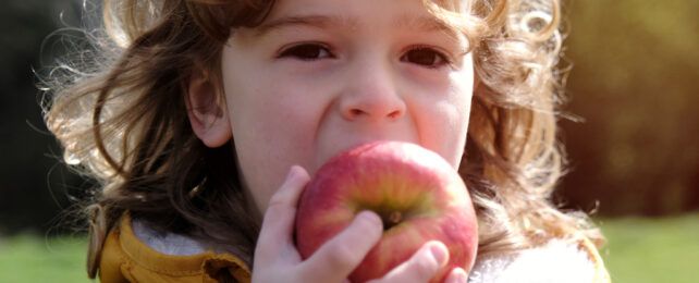 Chlorpyrifos, thuốc trừ sâu phổ biến gây bất thường não bộ ở trẻ em