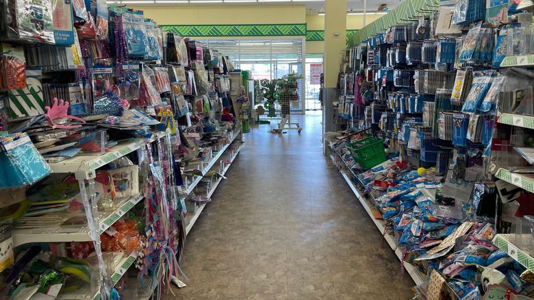 Nghệ thuật DIY phong cách: Tô điểm tường nhà với vật phẩm Dollar Tree độc đáo