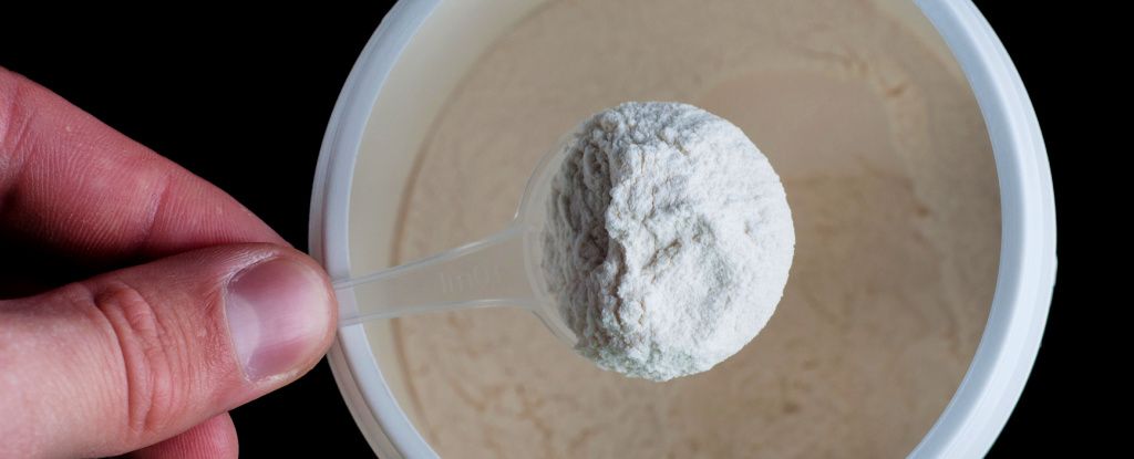 Giảm tiêu thụ axit amin isoleucine kéo dài tuổi thọ chuột lên đến 33%