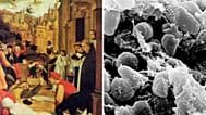 Phân tích DNA cổ tiết lộ vi khuẩn Yersinia pestis gây ra Đại dịch Justinian