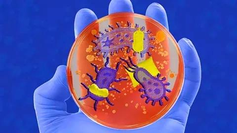 Cách hệ vi sinh vật điều khiển chất lượng giấc ngủ của bạn